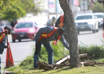 Jornada de limpieza en áreas públicas