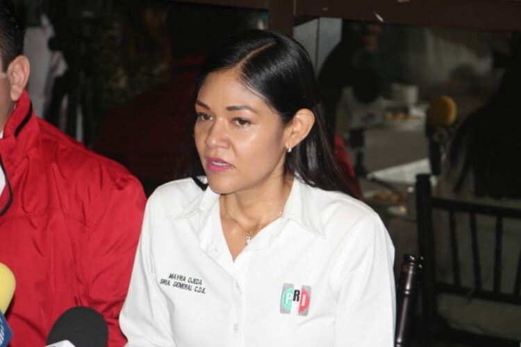 Denuncia Mayra Ojeda a Diputado Edgar Melhem por violencia política