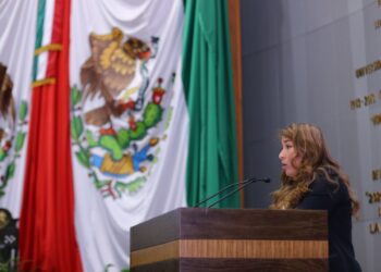Presenta PAN iniciativa que garantiza el bienestar de las mujeres durante el parto