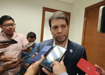 Propondrá PAN candidato al senado para la coalición 