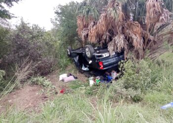 Atiende Guardia Estatal percance entre camioneta y tractocamión