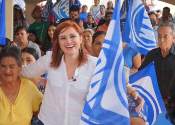 Lucharemos para impulsar acciones a beneficio de Tamaulipas: Imelda Sanmiguel