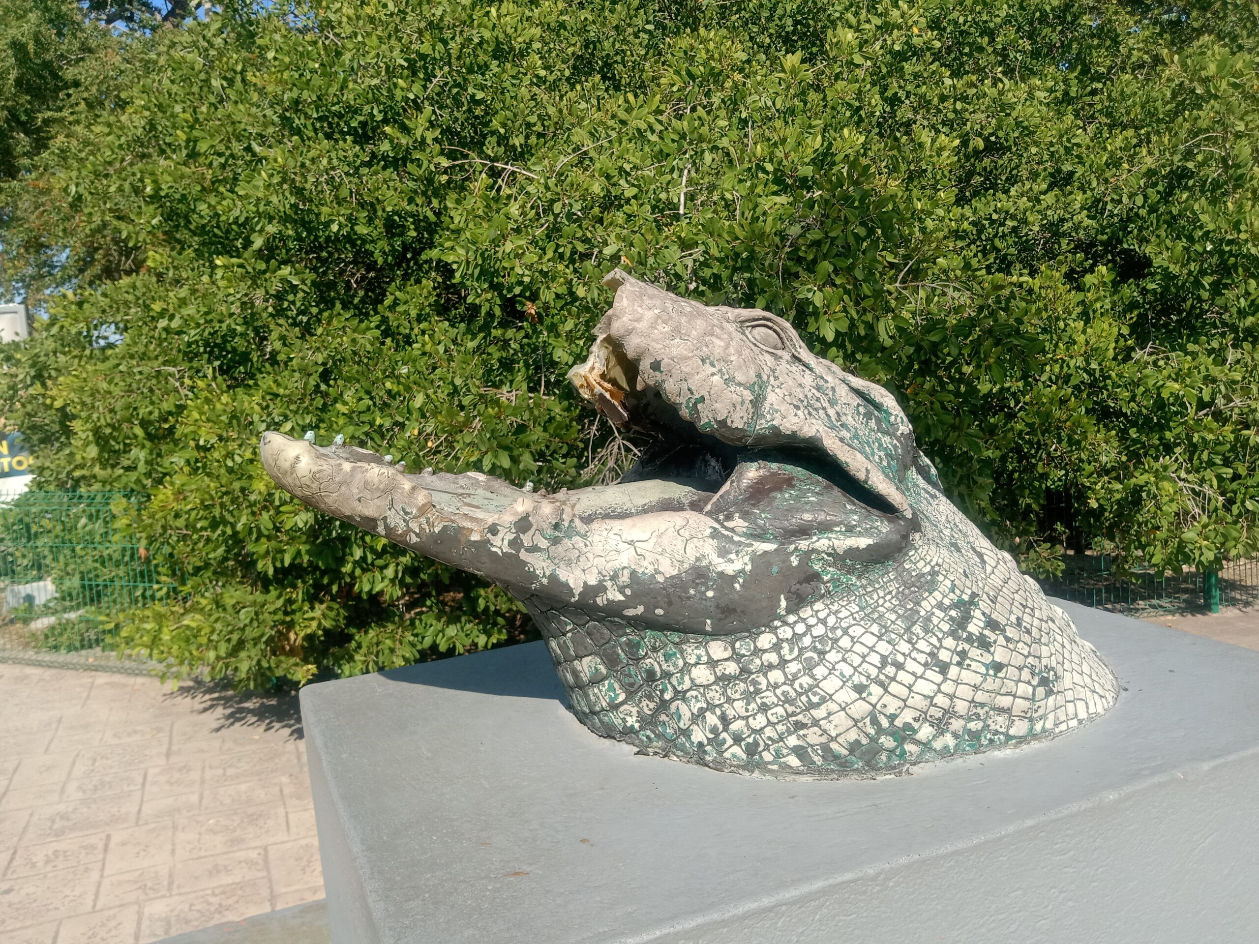 Descuidan mirador de cocodrilos en Tampico 