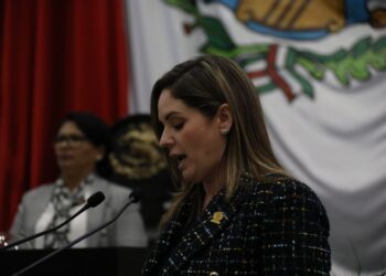 Propone Diputada Alejandra Cárdenas negar candidaturas a personas con antecedentes de violencia