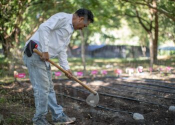 Presenta la Dirección de Desarrollo Comunitario del DIF Tamaulipas los programas asistenciales para el 2023