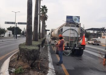 Tamaulipas aplica programa emergente de riego en áreas verdes con aguas tratadas