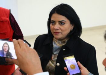 Aprueba Congreso reformas que dan paso a techos verdes y jardines verticales en Tamaulipas