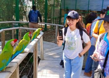 Ofrece Parque Ecológico Biósfera El Cielo talleres gratuitos sobre la mariposa monarca