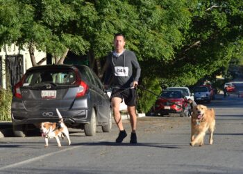 Realiza SEBIEN, carrera navideña a favor del cuidado y adopción responsable de mascotas