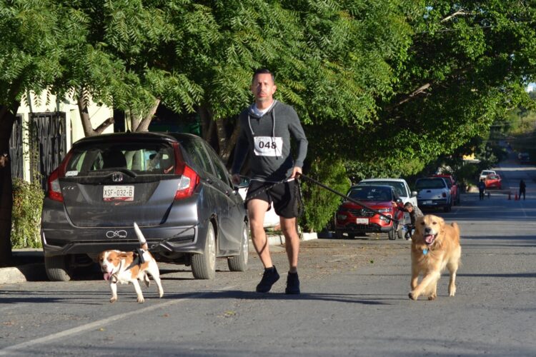 Realiza SEBIEN, carrera navideña a favor del cuidado y adopción responsable de mascotas