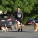 Realiza SEBIEN, carrera navideña a favor del cuidado y adopción responsable de mascotas