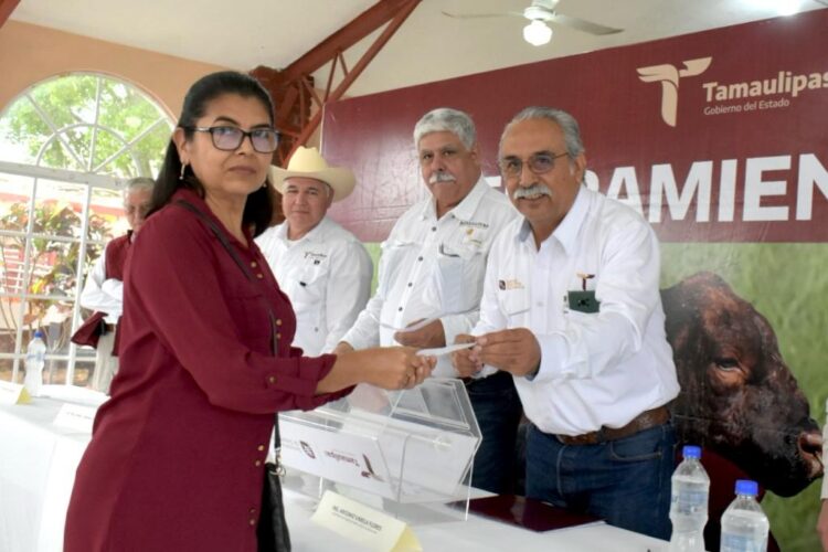 Gobierno de Tamaulipas respalda a ganaderos de Aldama con programa de Mejoramiento Genético