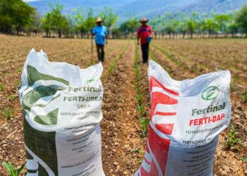 Inició SEGALMEX reparto de fertilizantes a agricultores de Tamaulipas