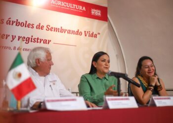 Secretarías de Bienestar, Medio Ambiente y Agricultura registran árboles y especies del programa Sembrando Vida