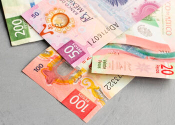Economía se mantendrá al alza este año