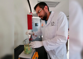 Identifica UAT plantas con potencial bioinsecticida