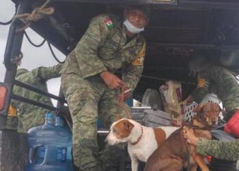 Tendrán 50% de descuento militares en consumo de agua