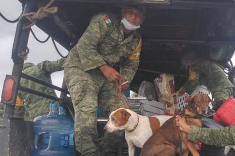 Tendrán 50% de descuento militares en consumo de agua