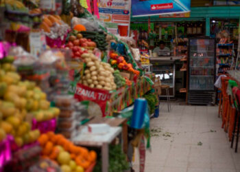 Economía se mantendrá al alza este año
