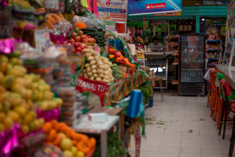 Economía se mantendrá al alza este año