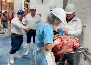 Entra carne de contrabando al rastro de Tampico, alerta Regidor