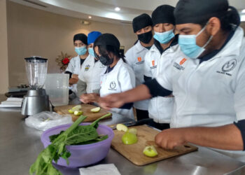 Estudia la UAT el aprovechamiento integral de la moringa