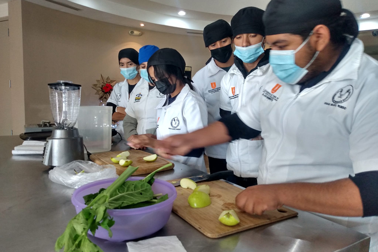 Estudia la UAT el aprovechamiento integral de la moringa