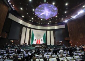 INE false información de empleados; transparencia