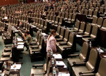 INE false información de empleados; transparencia