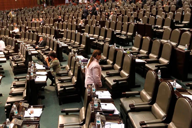 INE false información de empleados; transparencia