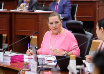 INE perdona a partidos