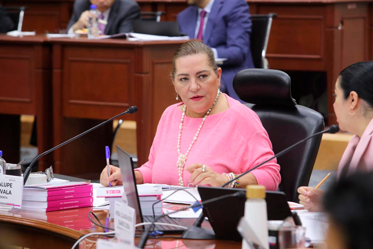 INE perdona a partidos