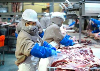 Impulsará UAT mercado de carne en Victoria