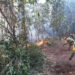 Lluvias han beneficiado a reducir riesgo de incendios