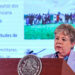 SRE detalla rescate de 34 mexicanos en Haití