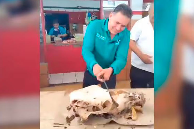 ‘Machetazo’ a cabeza de vaca fue un acto simbólico: Geño