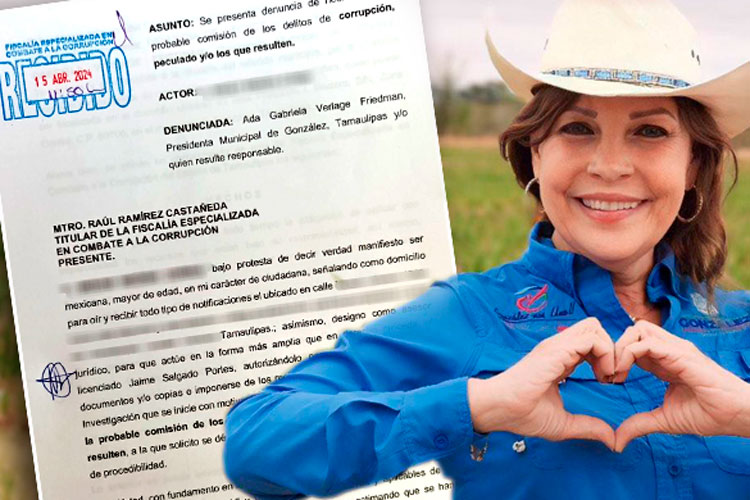 Denuncian a Gaby Verlage por delitos penales y electorales