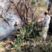 Apagados dos incendios forestales en Tamaulipas