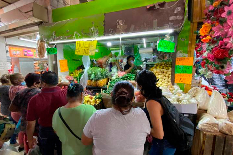 Reforman leyes de amparo y amnistía
