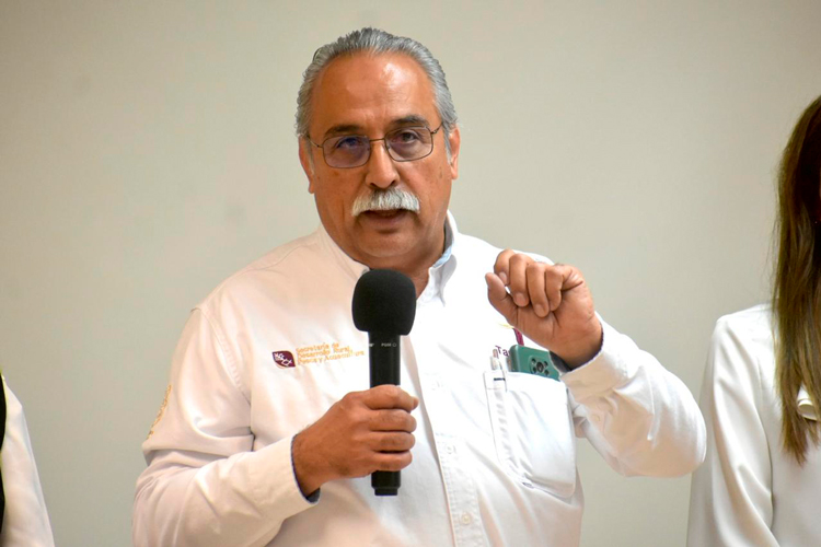 Recibirán productores tamaulipecos de sorgo precios justos