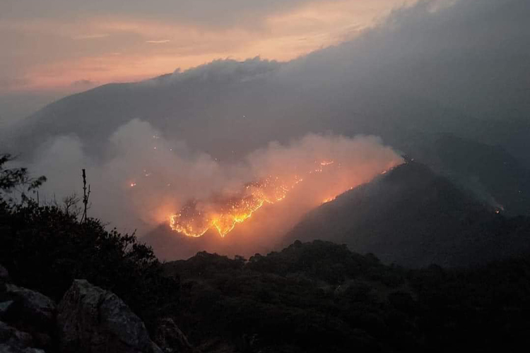 Incendio ha consumido más de 2,700 hectáres