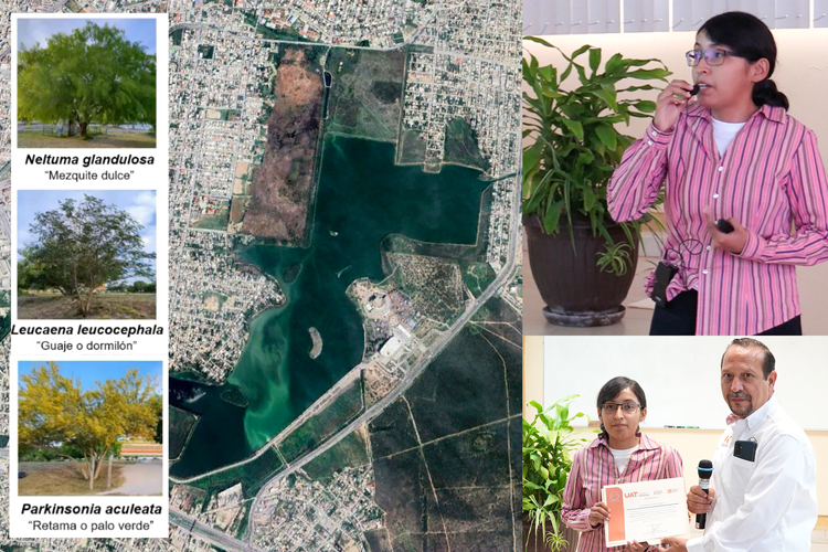 Analiza la UAT el uso de plantas nativas para recuperar suelos contaminados