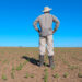 Crisis agrícola mandará a la quiebra a productores de sorgo