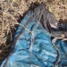 Encuentran osamenta en el Rodhe, familiares lo identifican