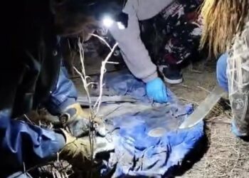 “Ya podremos darle cristiana sepultura”; Confirman otra osamenta en Reynosa