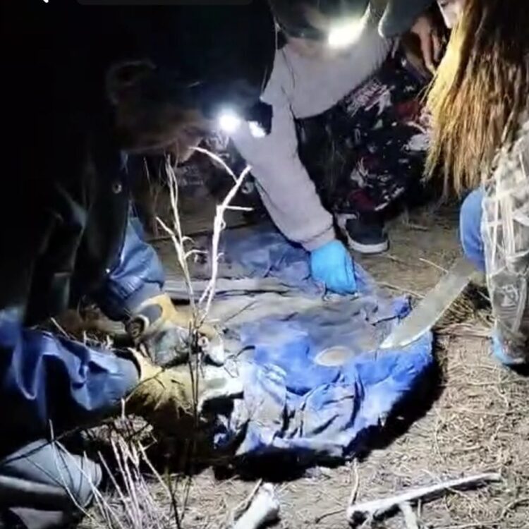 “Ya podremos darle cristiana sepultura”; Confirman otra osamenta en Reynosa