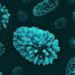 Alerta por metapneumovirus en Nuevo León y Tamaulipas