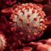 No hay alerta sanitaria por nuevo virus chino