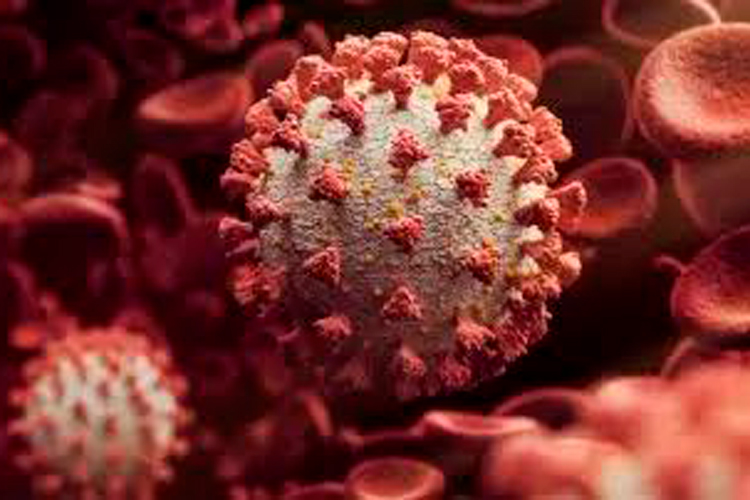 No hay alerta sanitaria por nuevo virus chino