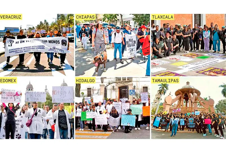 Llueven quejas contra pifias en listas judiciales